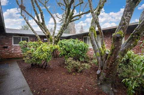 a yard with trees and bushes in front of a brick house